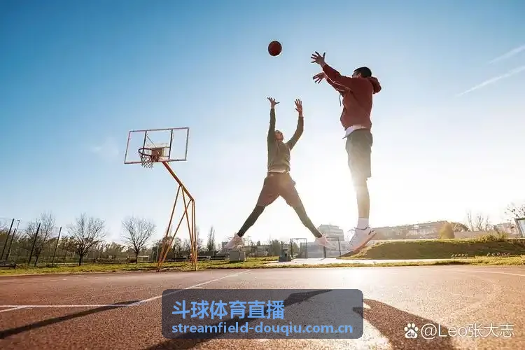 斗球体育直播球迷观赛画面